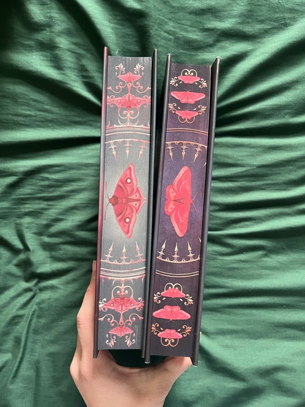 Fairyloot the Crimson Moth and The Rebel Witch - Picture 2 of 7